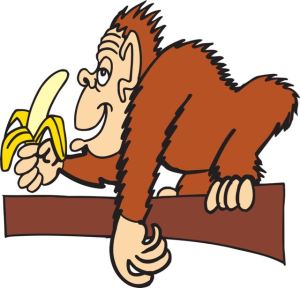 ape-banana-pixabay44564