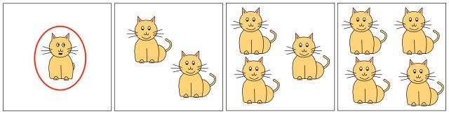 catpatternmatching4Solution